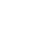 烈焰圣甲虫